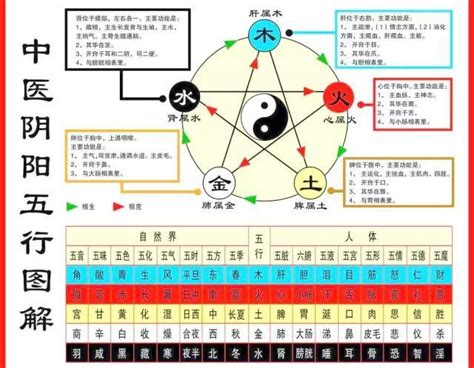 五行對應五臟